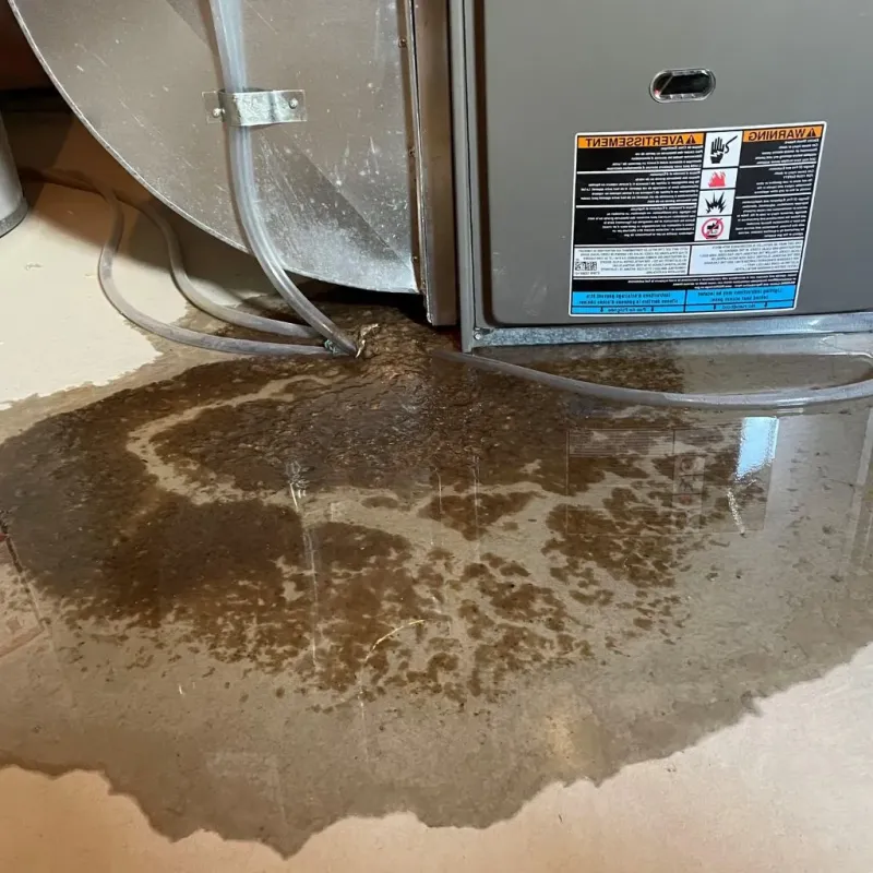 Pipe Burst and Leak Restoration in Lancaster, OH
